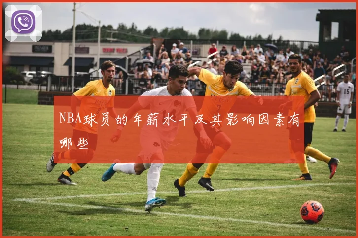 NBA球员的年薪水平及其影响因素有哪些