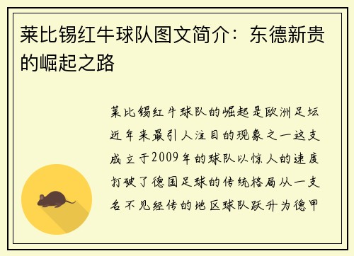 莱比锡红牛球队图文简介：东德新贵的崛起之路